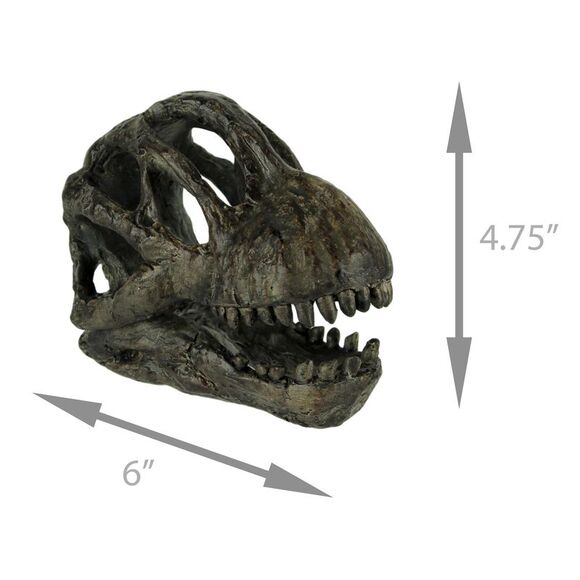 Brachiosaurus Dinosaur Head Fossil Statue Small - Picture 4 of 4